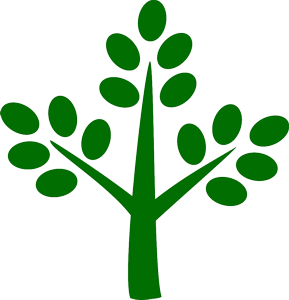 Moringa City Store